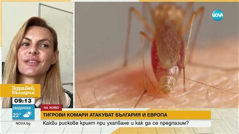 Тигрови комари атакуват България: Какви рискове крият ухапванията от ...
