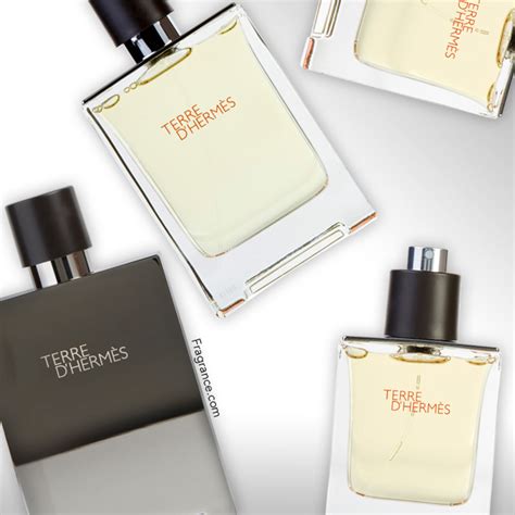 Terre d'Hermes Cologne Review | Eau Talk - The Official FragranceNet ...