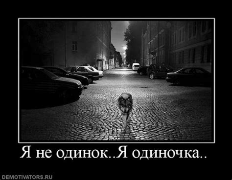 Фото Я не одинок, я - одиночка