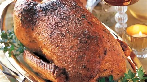 savory goose breast recipes delightful simply family recipes