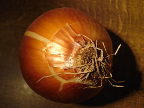 1280x720 wallpaper | brown onion | Peakpx