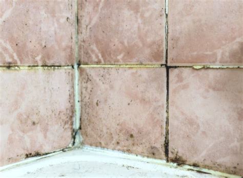 5 Easy Ways To Blast Mold Out Of Your Shower Caulk For Good
