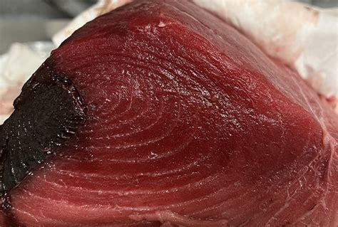 San Diego Bluefin Tuna – The Fish Bone Kitchen