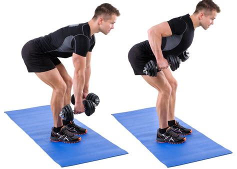 dumbbell  exercises  workouts fitness volt