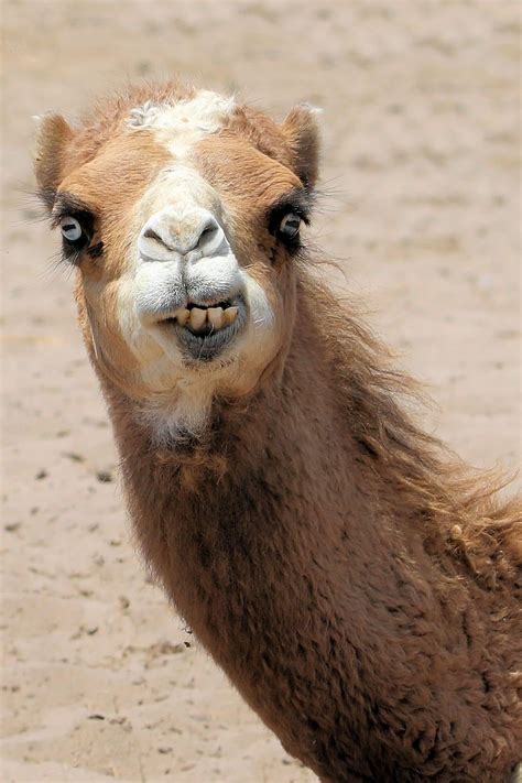 What Day Is It? - Corel Discovery Center