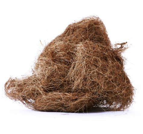 jak przygotowac wlokno kokosowe  uzycia  uprawie hemplopl