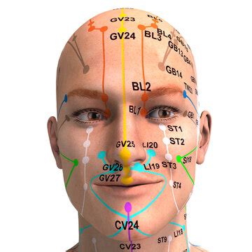 Face Acupressure Points Chart