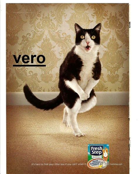 2006 ad FRESH STEP CAT LITTER magazine print dance black white vtg ...