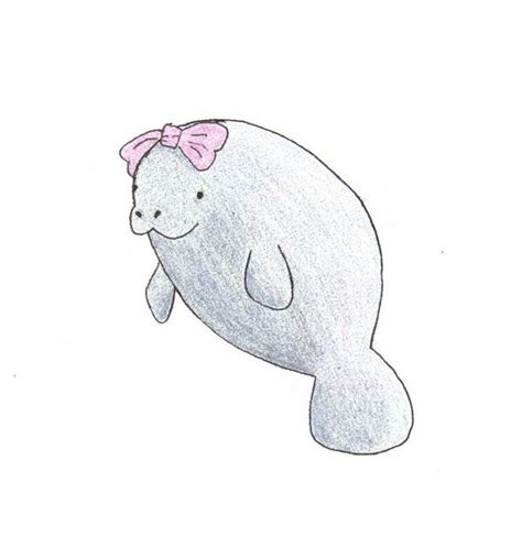 Cute Manatee Drawing at PaintingValley.com | Explore collection of Cute ...