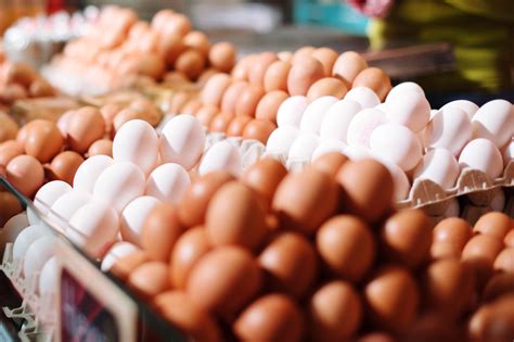 Egg Types: Cage-free, Free-range, Farm-raised, Organic - Perrine's Produce