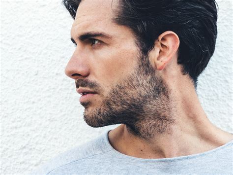 stubble  beard perfect guide   sharp