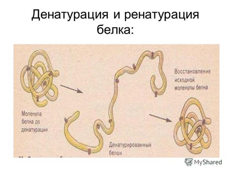 Презентация на тему: "Разминка: макроэлементы микроэлементы биоэлементы ...
