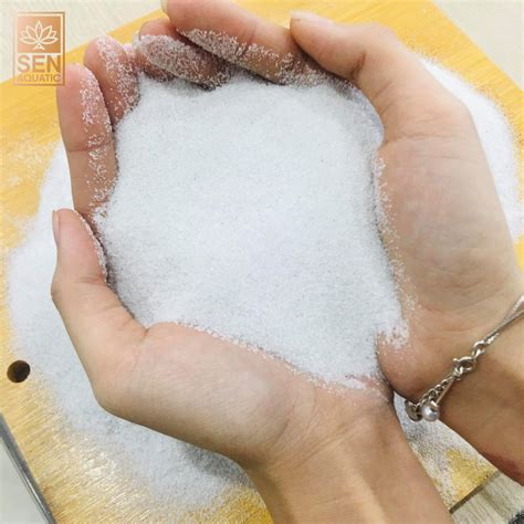 cat trang min bi mat dang sau ve dep tinh khoi va ung dung vuot troi