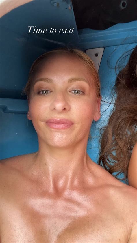 Sarah Michelle Gellar Tits in a Bikini of the Day - DrunkenStepFather.com