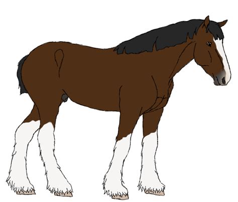 Clydesdale Adopt - OPEN by OrleansTB-Admin on DeviantArt