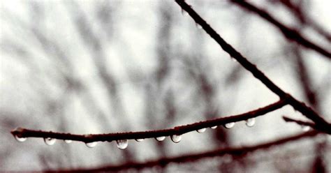 mathematical tourist hanging