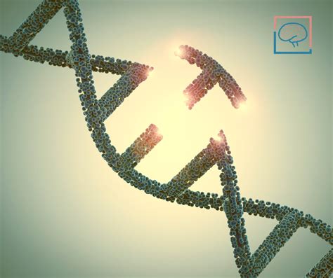 What Is an MTHFR Gene Mutation?