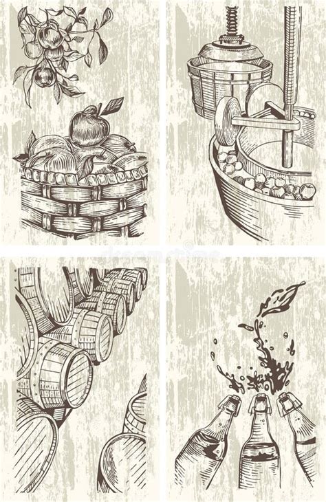 Cider Hand-drawn Set. Cidermaking Process Illustrations in Engraved ...