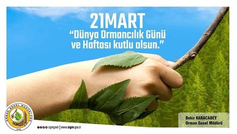 Haberler 21 Mart Dünya Ormancılık Günü Kutlu Olsun
