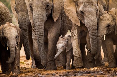 South Africa & Victoria Falls Adventure | Approach Tours