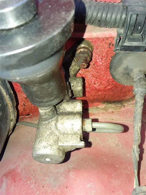 Elly Clutch Leak: A Scandal That Rocks The Nation Image 14