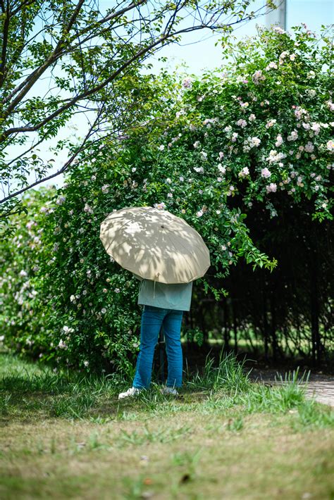 Sophie+Rain+Hot Photos, Download The BEST Free Sophie+Rain+Hot Stock