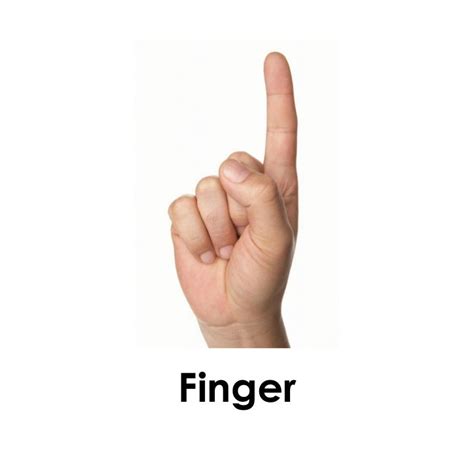 One little finger