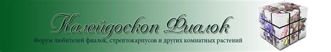 Калейдоскоп Фиалок - Просмотр темы - Чудо Гороховое