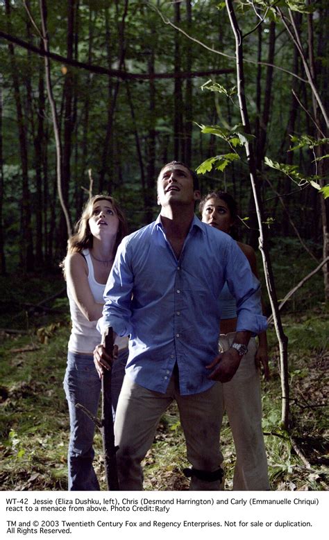 Wrong Turn (2003)