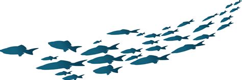simple fish clipart transparent background png