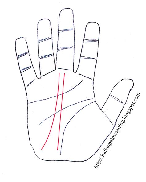 What Is The Meaning Of Double Fate Line | Palmistry ~ INDIAN PALMISTRY ...