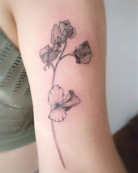 Sweet Pea Flower Tattoo Ideas and Their Meaning