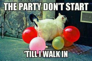 Party Animal Quotes. QuotesGram