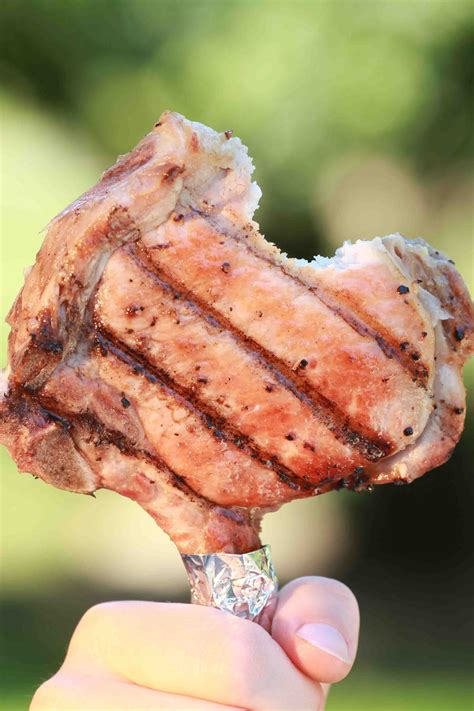 Pork Chop on a Stick™