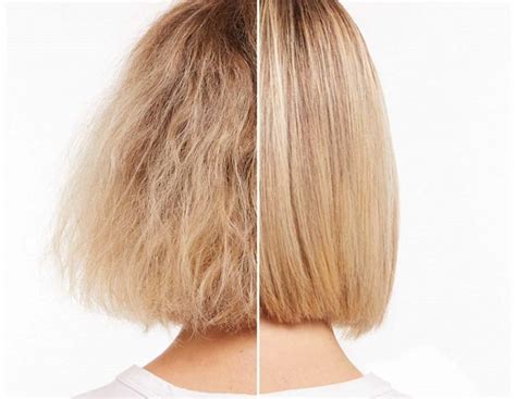 Como Recuperar O Cabelo Danificado - Cabelo danificado: 14 dicas para recuperar cabelos danificados e sem vida