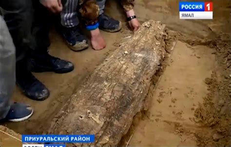 Discovered Near Arctic: Mysterious Lost Medieval Civilization And ...