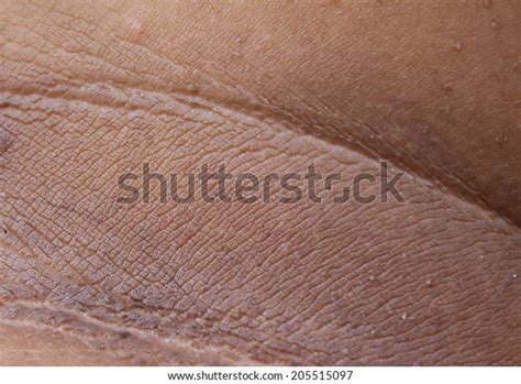 human neck skin texture stock photo edit