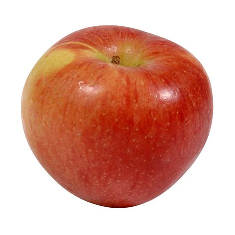 braeburn apple gordon food service store