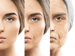 Previously Unknown Driver of Aging Discovered – Simple Supplement May ... 