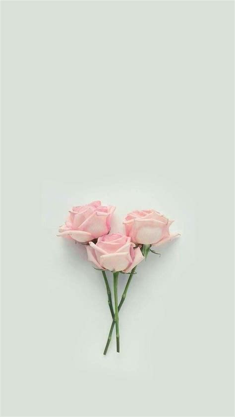 Pastel Aesthetic Flower Wallpapers - Wallpaper Cave