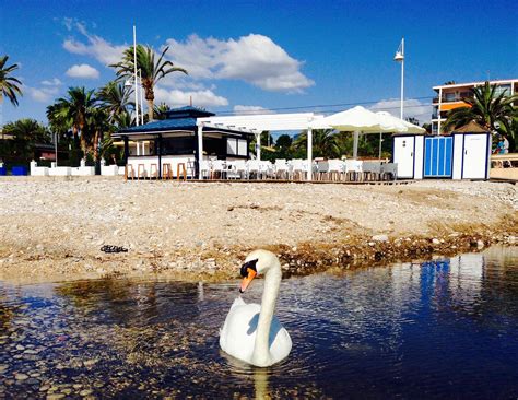 Chiringuito Tsunami Altea | Altea
