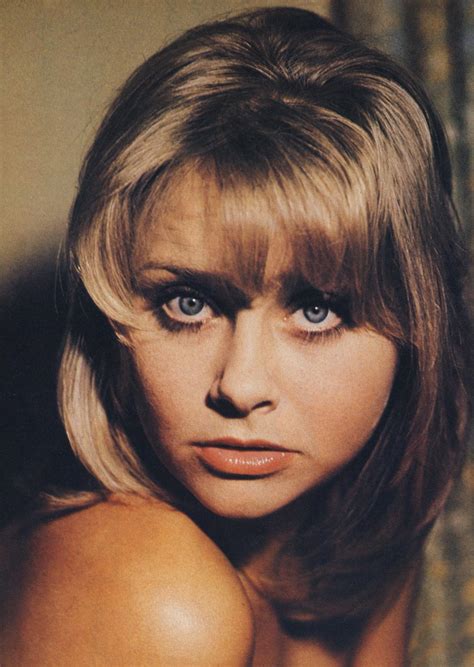 Linda Hayden (English Actress) ~ Bio Wiki | Photos | Videos