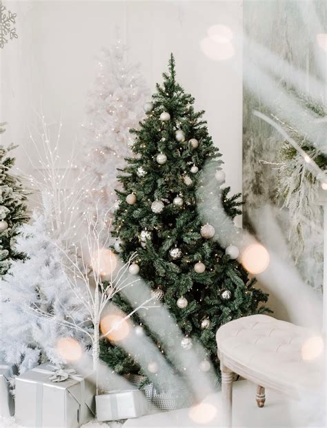 Ashlyn Brooke Photography