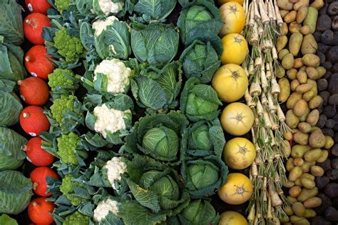 Legume Utilizado Também Na Redução Do Colesterol - 10 alimentos que ajudam a baixar o colesterol ~ 10 alimentos que