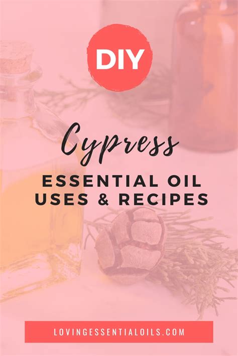 Cypress Essential Oil Recipes, Uses and Benefits Spotlight – Loving ...