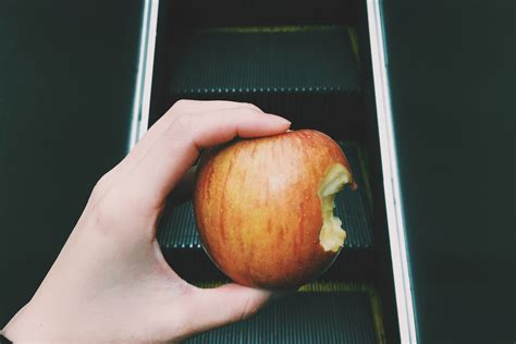 900+ Best Bite Photos · 100% Free Download · Pexels Stock Photos