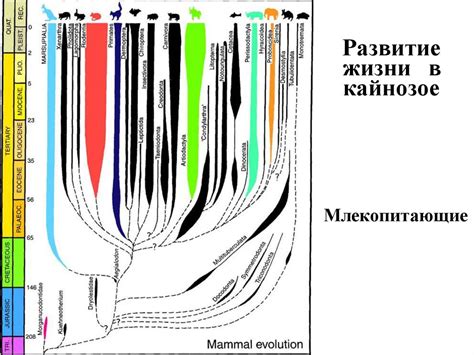 Историческая геология - презентация онлайн