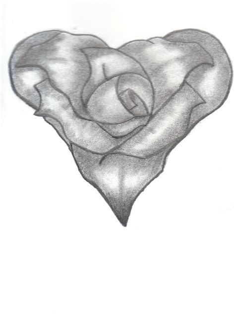 rose heart drawing