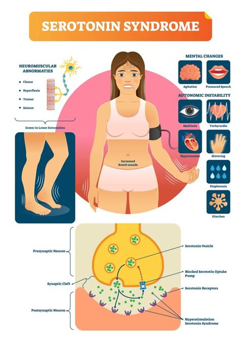 What Does Serotonin Do? Neurotransmitter Function
