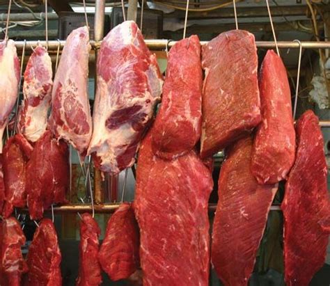 meat definition types facts britannica